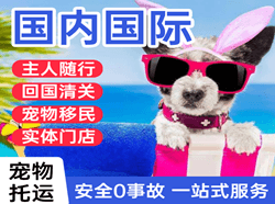 美兰航空空运国际宠物托运 【国